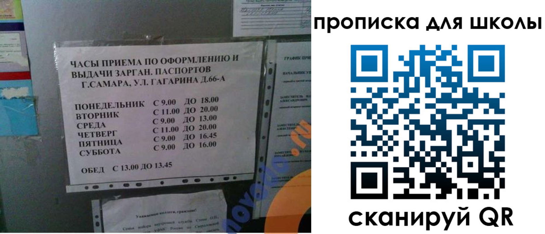где прописаться в Курганской области